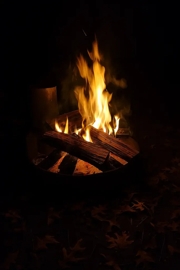 A glowing campfire burns in a metal fire ring at night in Trap Pond State Park