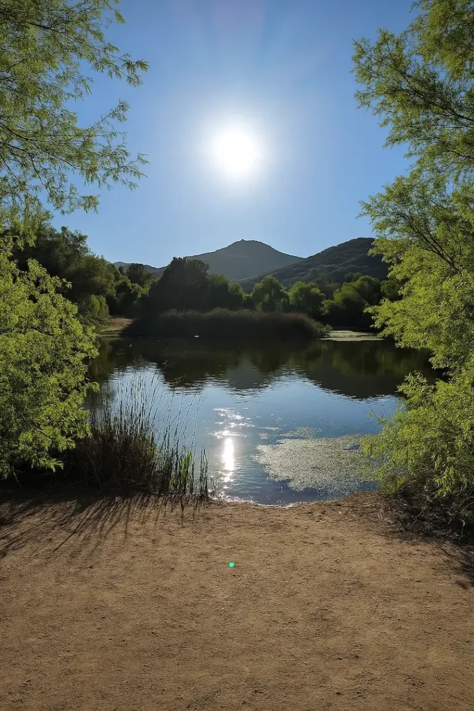 A peaceful lakeside view at Dos Picos County Park, framed by green trees with a dirt foreground and a bright sun above a distant mountain