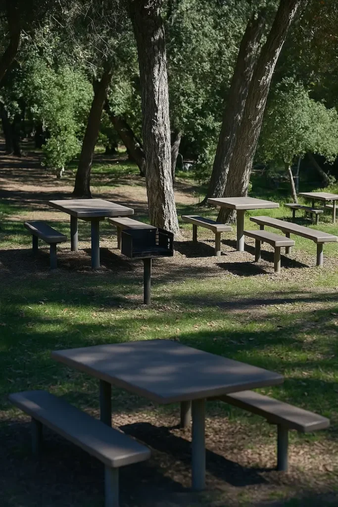 A wooded picnic area in Dos Picos County Park Camping with several concrete tables, benches, and a small grill, surrounded by tall trees casting dappled shadows on the grassy ground