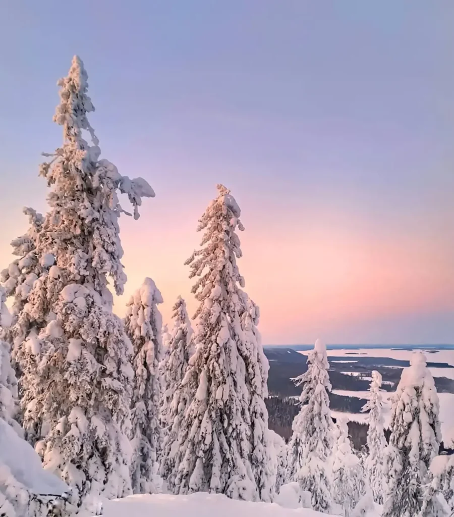 Koli National Park