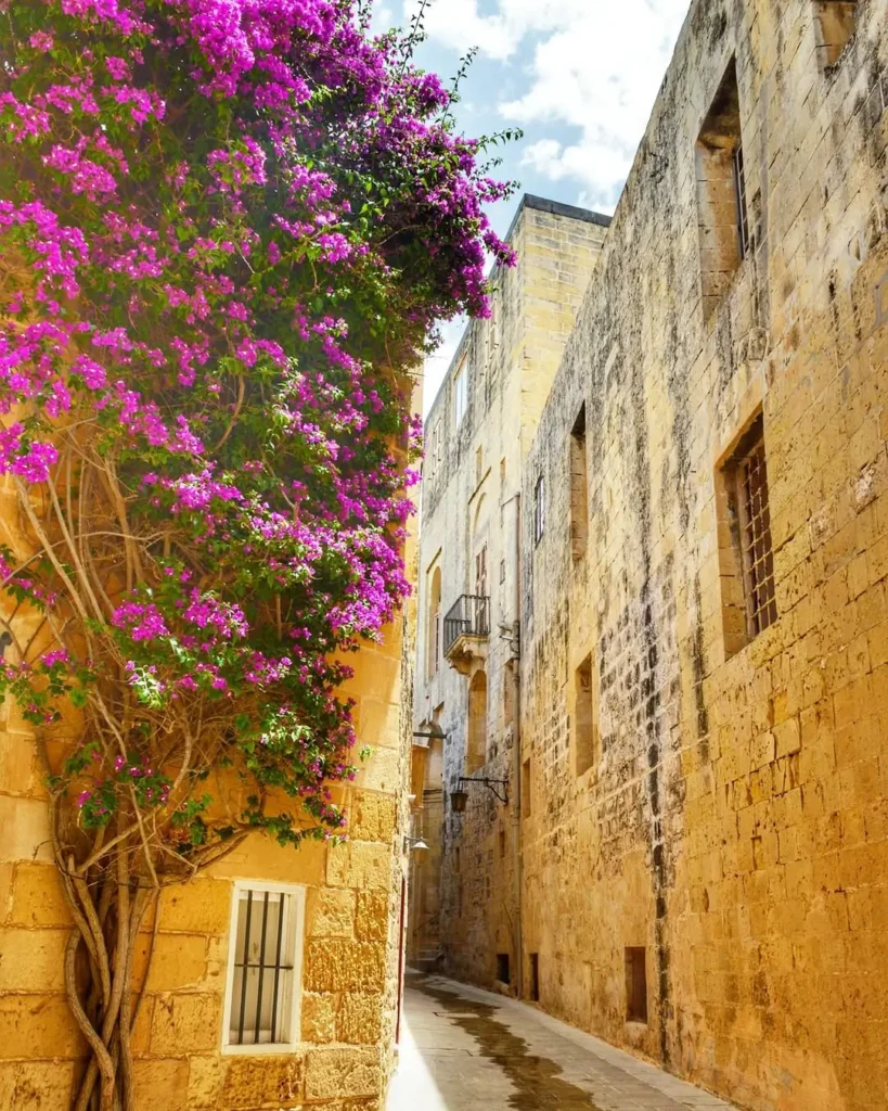 Mdina