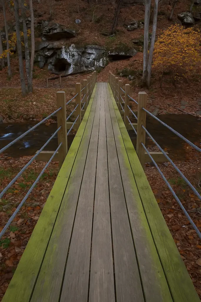 Moss-covered wooden bridge