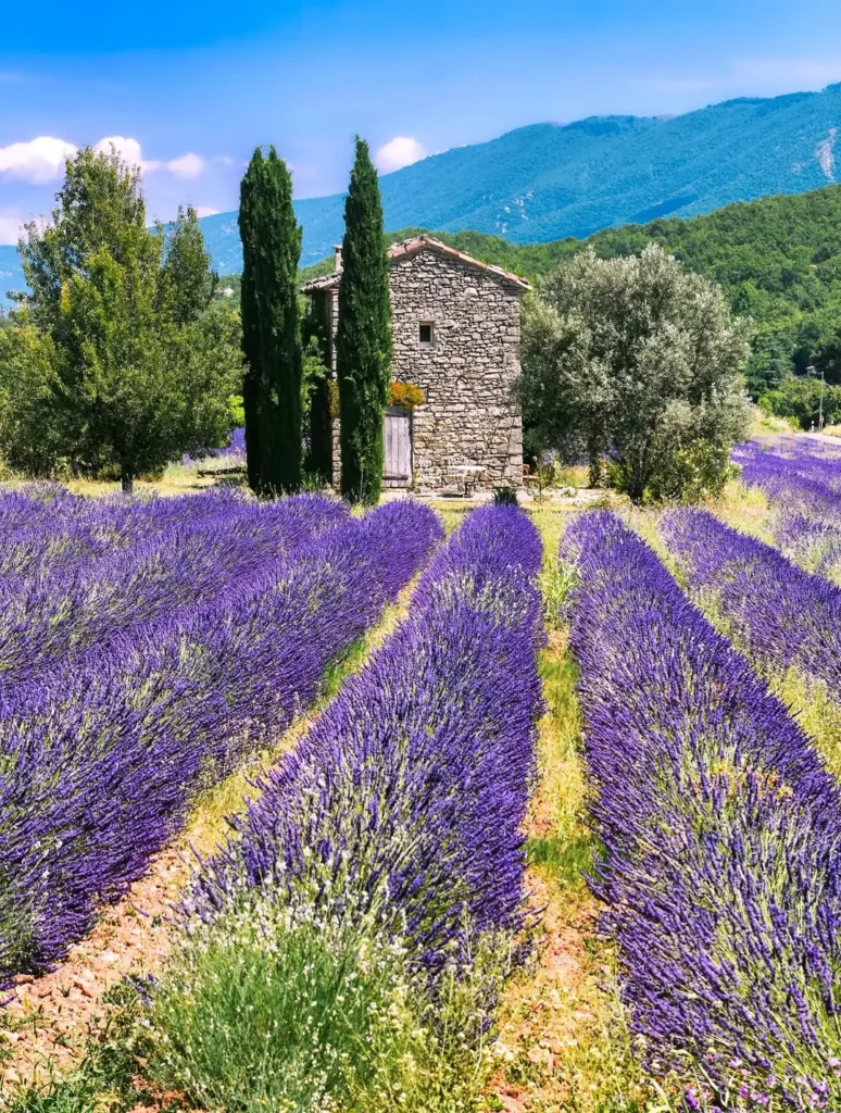 Provence, France