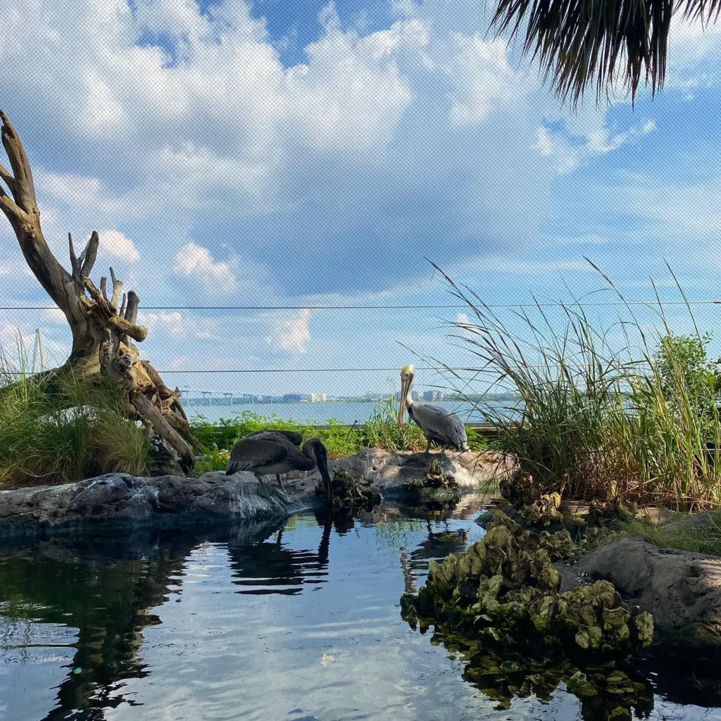South Carolina Aquarium