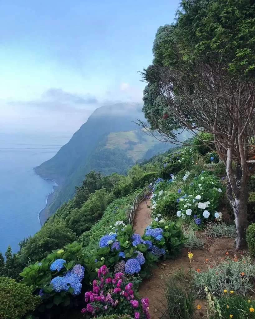 The Azores