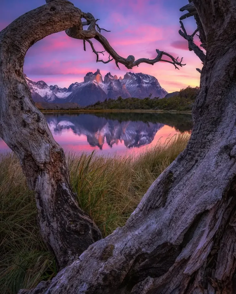 Torres del Paine